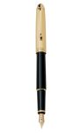 Bút máy Aurora 88 Black Barrel Gold Plated Cap 